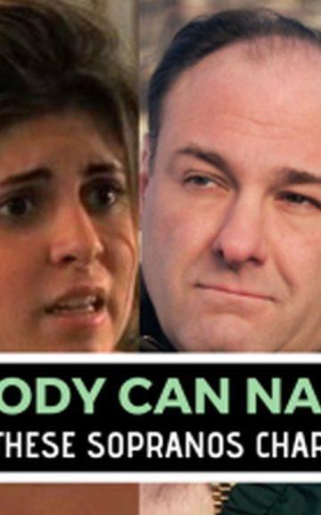 Quiz: No one Named ALL 28 Of These Sopranos Characters