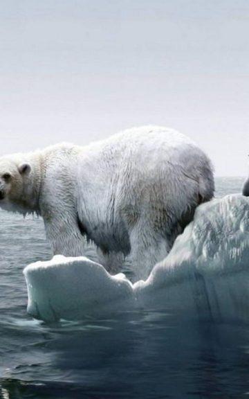 Quiz: This Global Warming Quiz Will Shock You