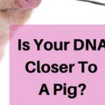 Quiz: Check if your DNA is Closer To A Pig Or An Ape