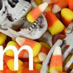 Quiz: Select Some Halloween Candy And We'll reveal You Your Halloween Fortune