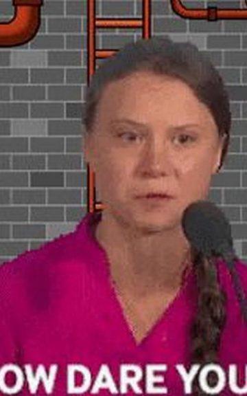 Greta Thunberg Just Trumped Trump And The Internet Is Here For It