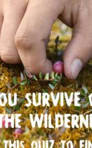 Quiz: Do You Survive For A Year In The Wilderness? Take This Quiz To Find Out